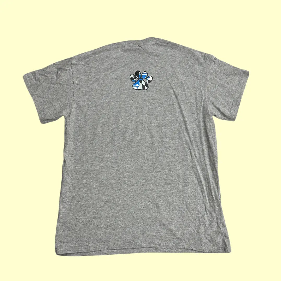 NCHS Gray Graphic T-Shirt (Gildan Heavy Cotton, Medium)