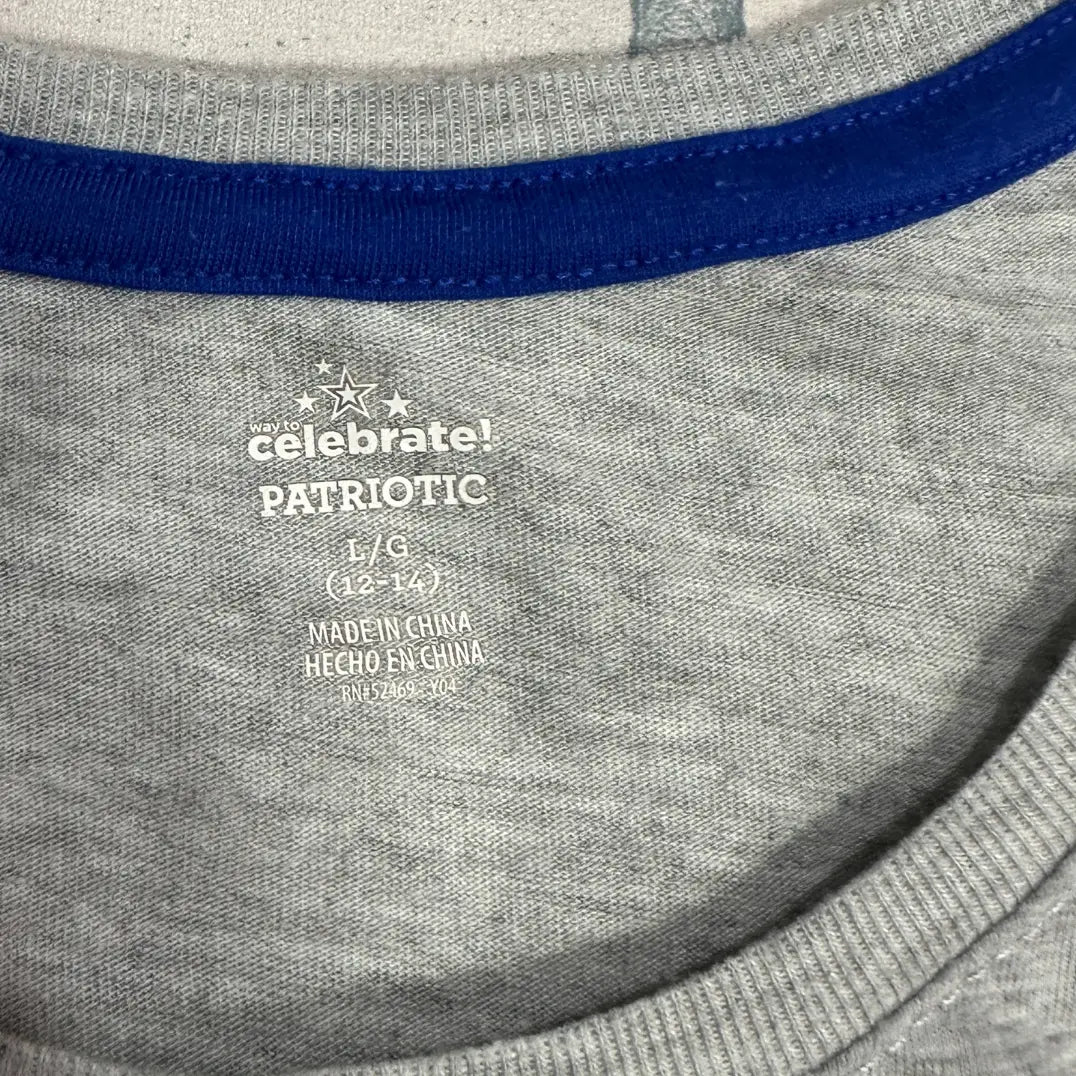 π±πΊπΈ Patriotic Cat Tee β Way to Celebrate! Gray