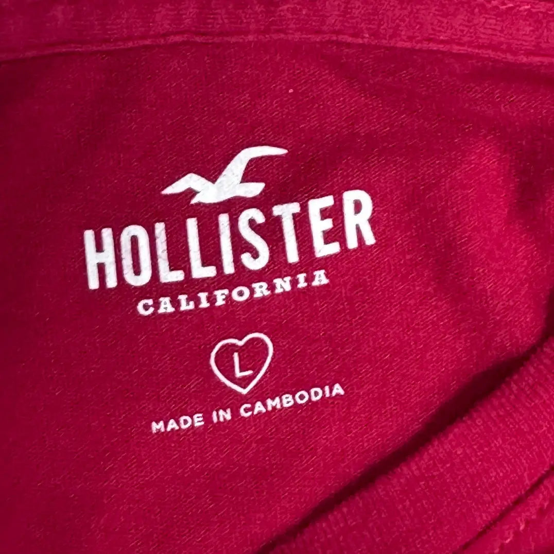 Classic Hollister Southern California graphic tee