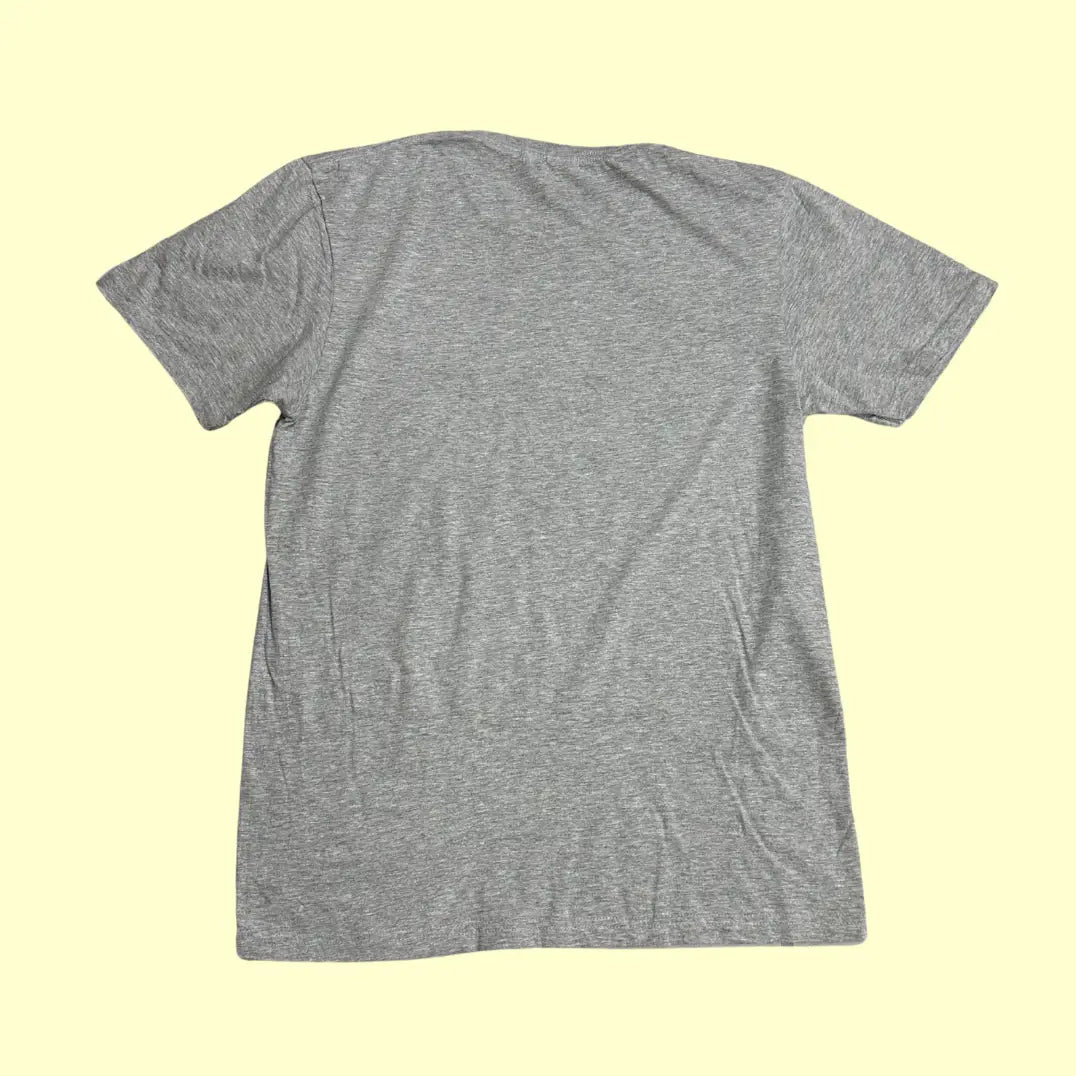 🩶 Holly Springs “Heart • Life • Hands • Mission” Tee by Gildan Softstyle