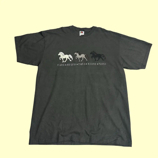 Fruit of the Loom Iceland Horses Graphic Tee – Size L – Charcoal Grey