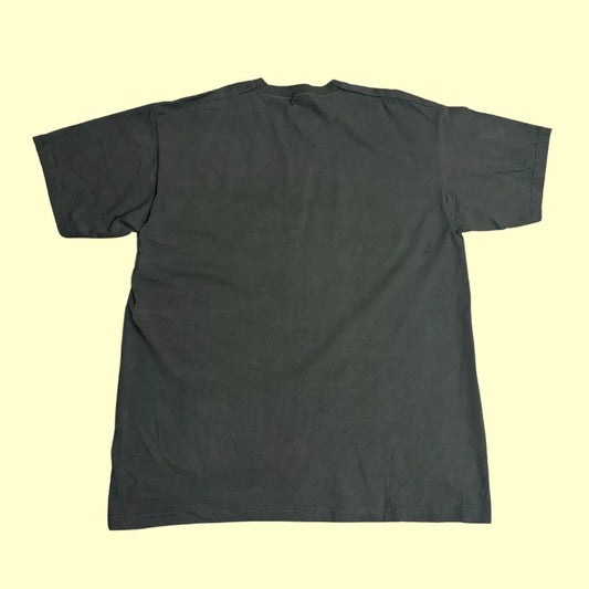 Fruit of the Loom Iceland Horses Graphic Tee – Size L – Charcoal Grey