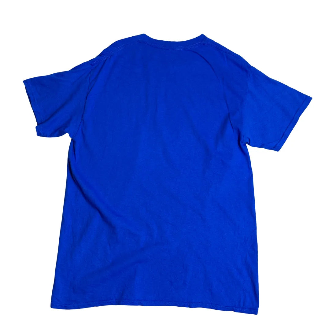 Gildan “Alaska Trip Cruise Ship” Graphic T-Shirt – Travel Theme Tee 🚢🏔️