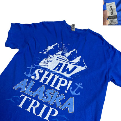 Gildan “Alaska Trip Cruise Ship” Graphic T-Shirt – Travel Theme Tee 🚢🏔️