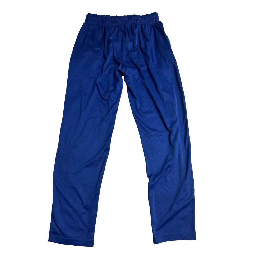 NIKE Royal Blue Casual Track Pants