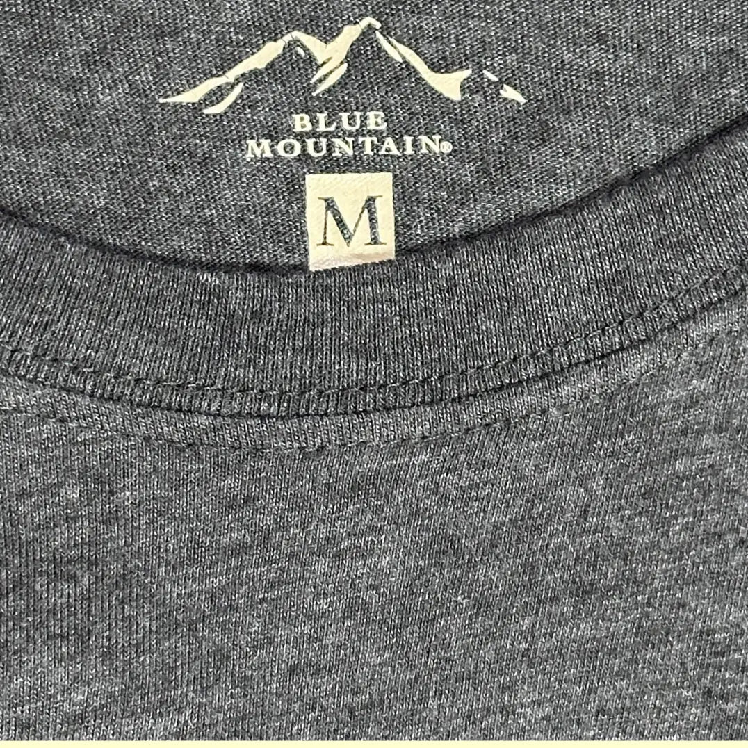 Blue Mountain Long Sleeve Graphic T-Shirt
