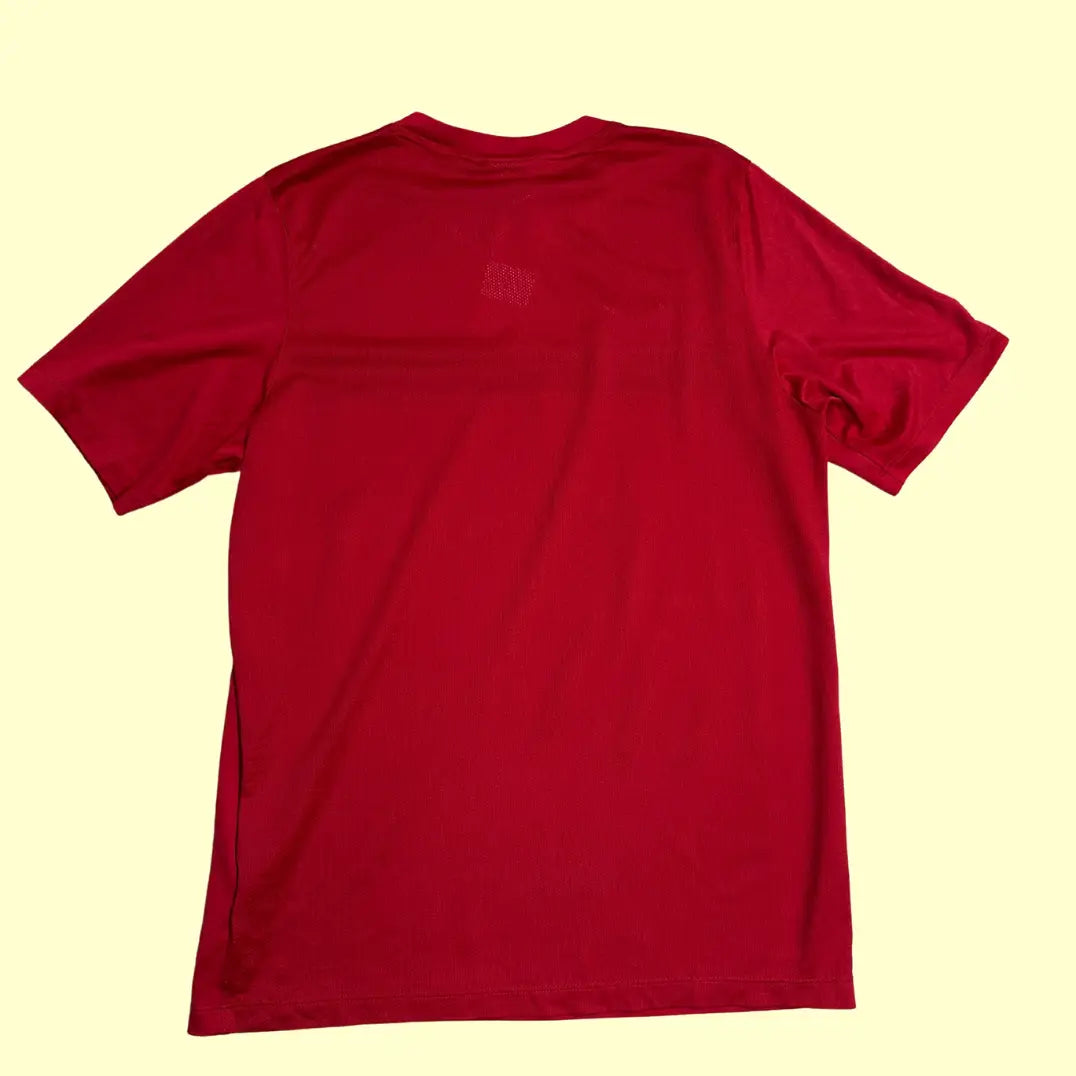 Nike Dri-FIT red training t-shirt