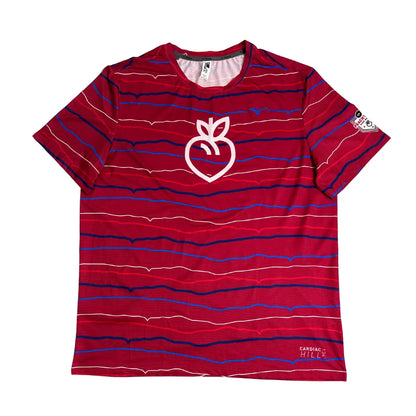 MIZUNO Graphic Performance Striped Athletic Tee