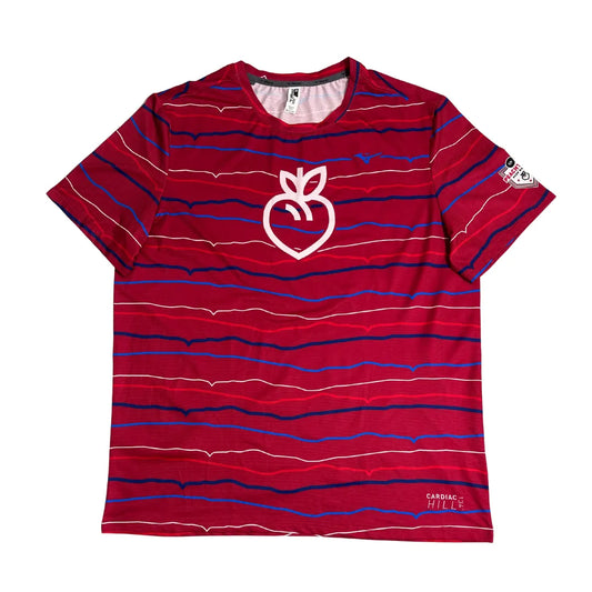 MIZUNO Graphic Performance Striped Athletic Tee