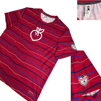 MIZUNO Graphic Performance Striped Athletic Tee